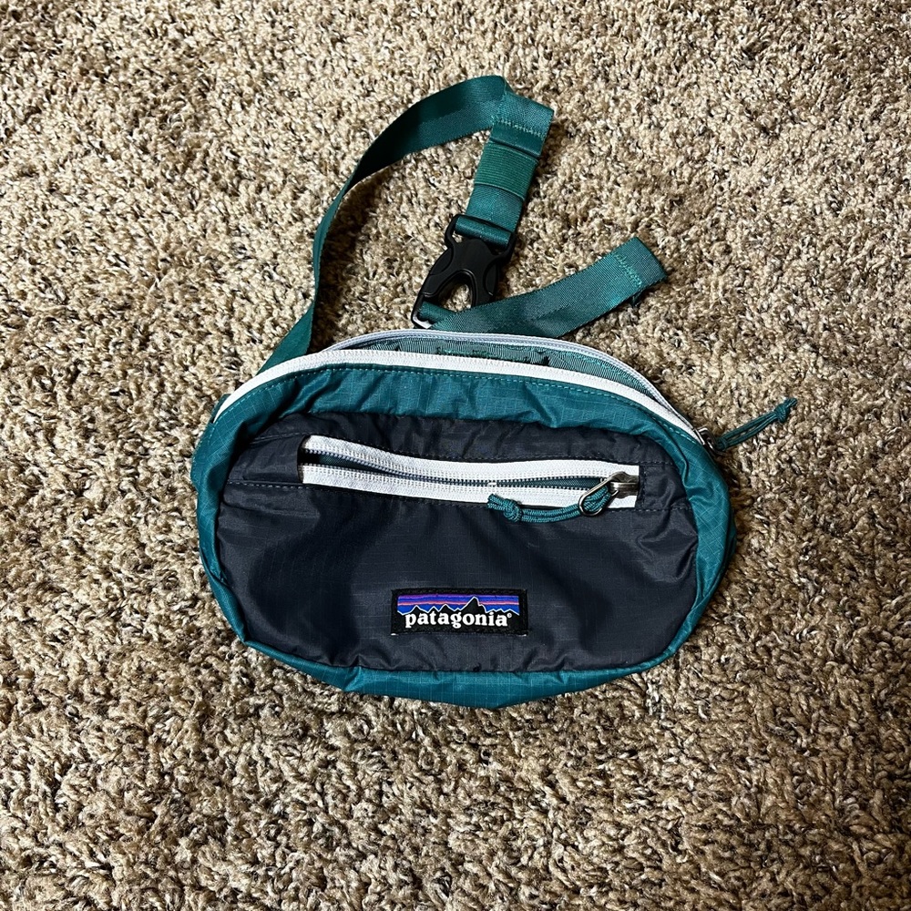 Patagonia belt bag